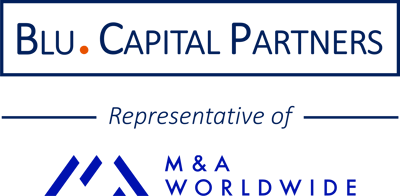 Blu Capital Partners - Leading financial advisory and investment firm